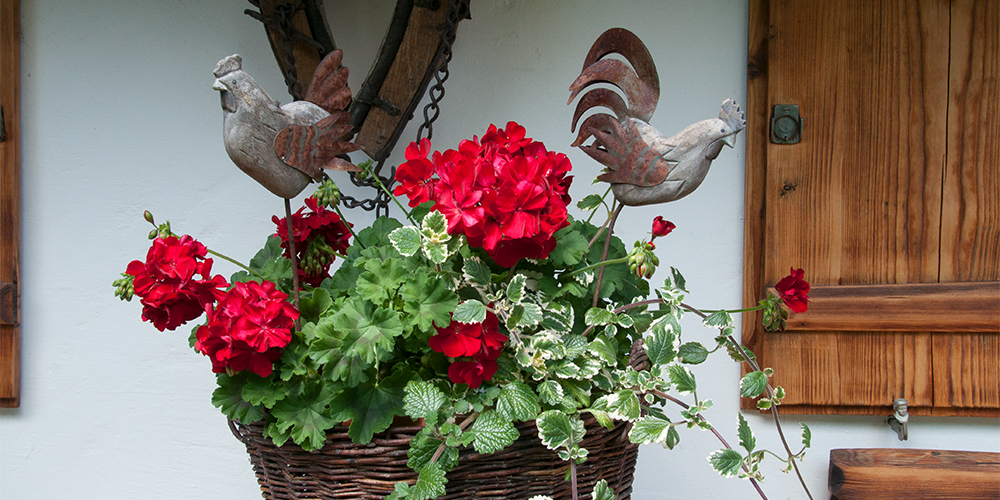 Ferienwohnungen Gloggner Hof in Rottach-Egern am Tegernsee - Garten und Liegewiese