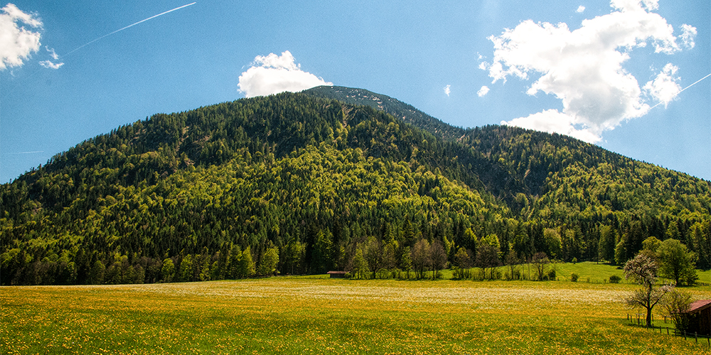 Ferienwohnungen Gloggner Hof in Rottach-Egern am Tegernsee - Garten und Liegewiese