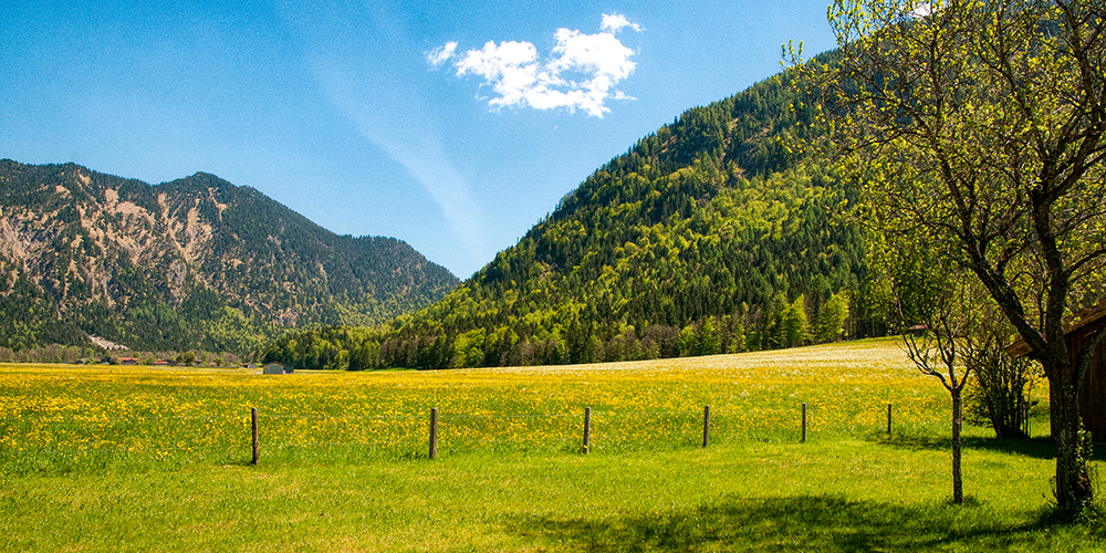 Ferienwohnungen Gloggner Hof - Panorama Aussicht