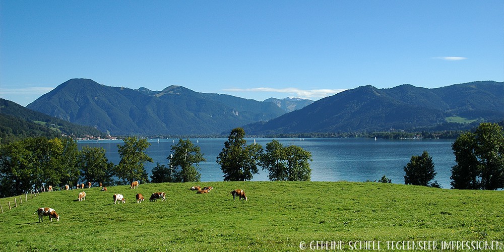 Tegernseer Impressionen - Copyright Gerlind Schiele Photography +49 (0) 170 - 908 85 85